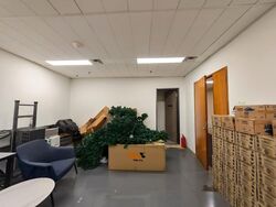 Robinson 77 (D1), Office #593488661
